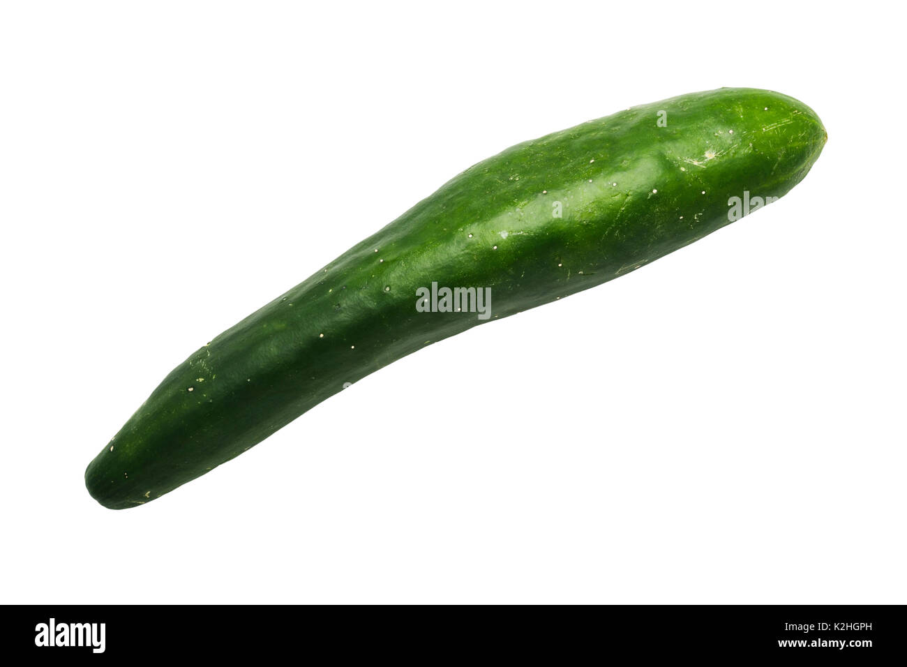 A homegrown organic cucumber on a white background Stock Photo