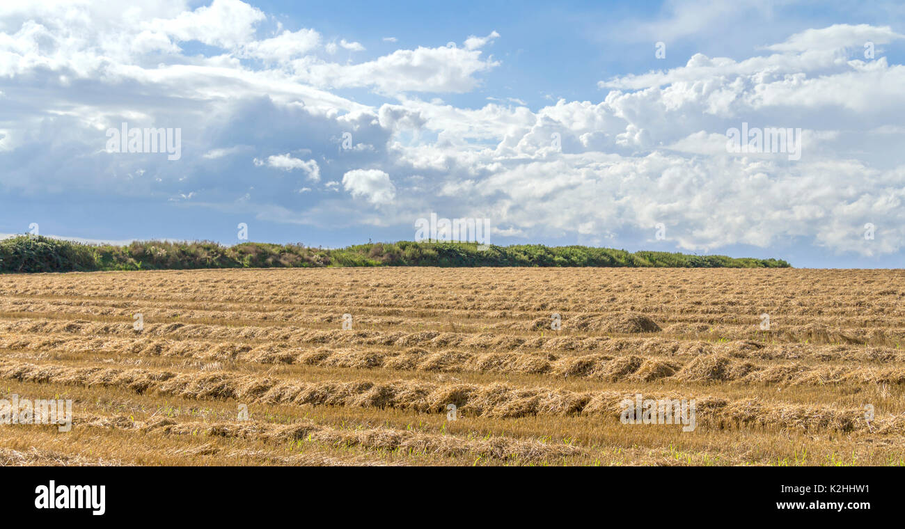 clouded sky in rural agricultural ambiance Stock Photo