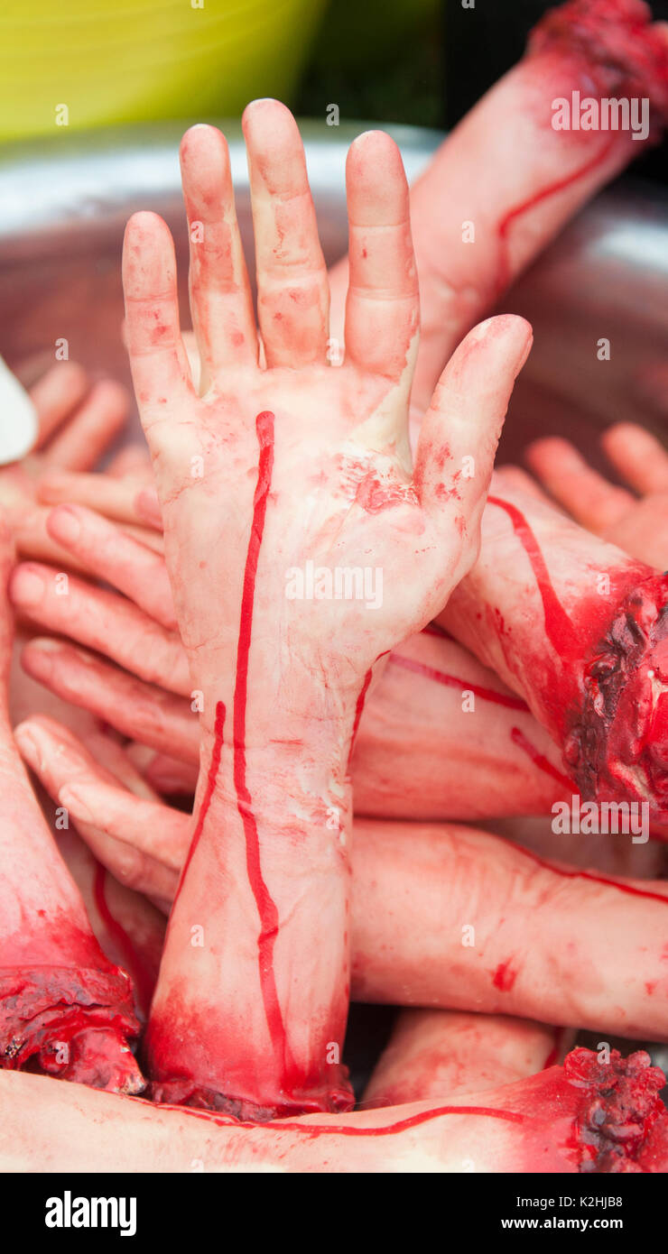 Fake human hands. Made of rubber. Dog toys. Stock Photo