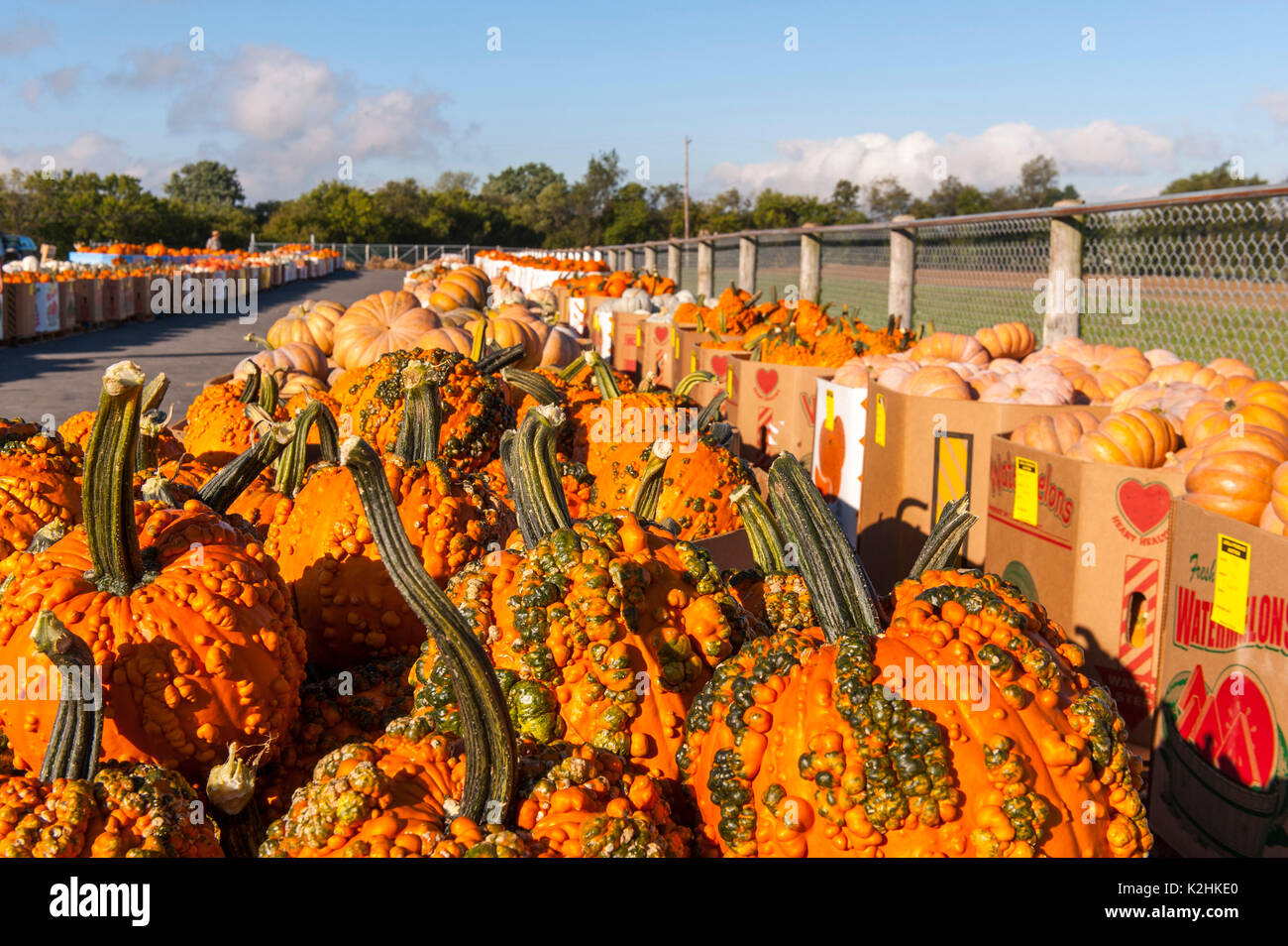 Leola produce auction hires stock photography and images Alamy