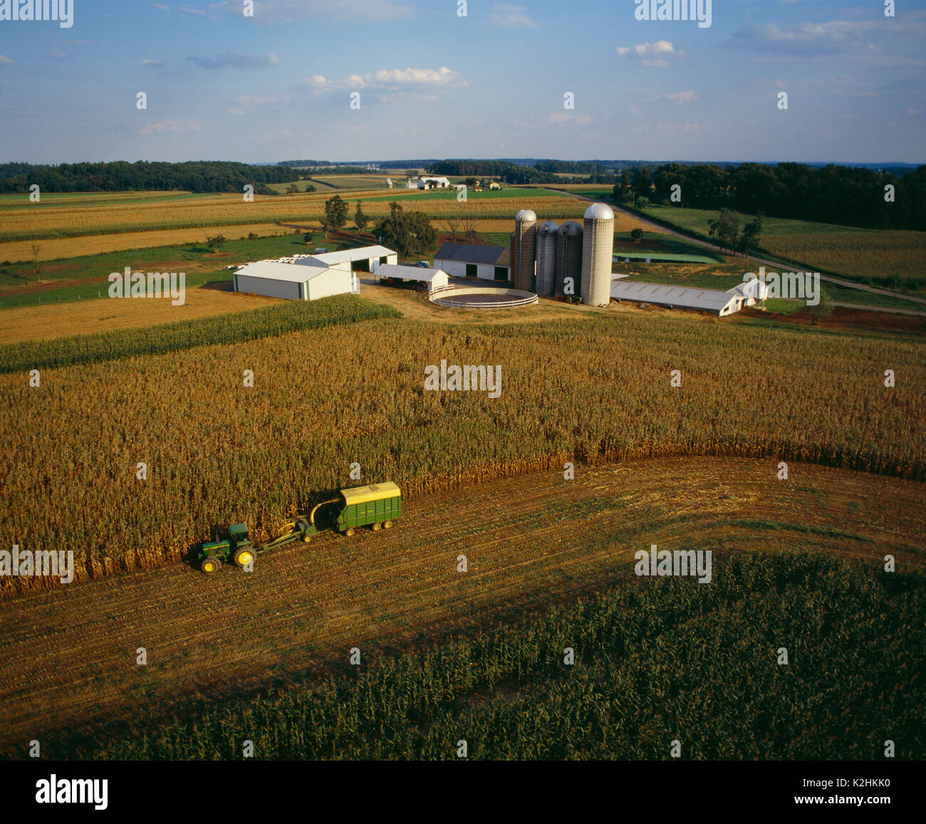 AERIAL VIEW OF DAIRY FARM WITH FARMER CHOPPING CORN SILAGE, LANCASTER PENNSYLVANIA Stock Photo