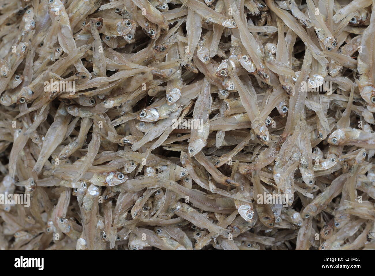 little Dried fish sea food Asian Thailand Stock Photo
