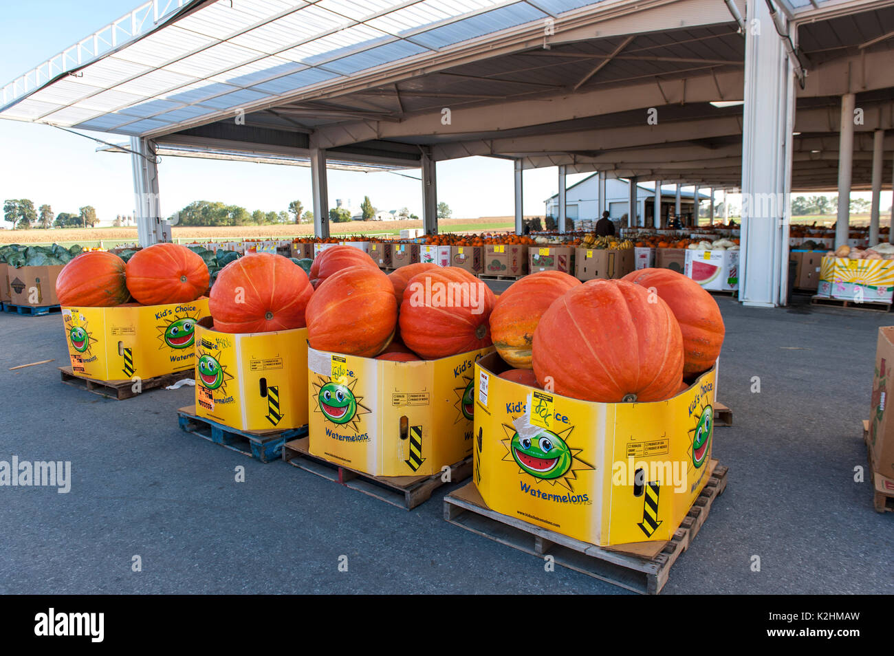 Leola produce auction hires stock photography and images Alamy