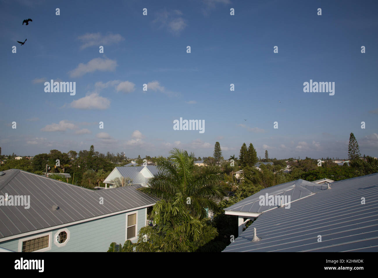 Beach houses on Anna Maria Island, Florida Stock Photo - Alamy