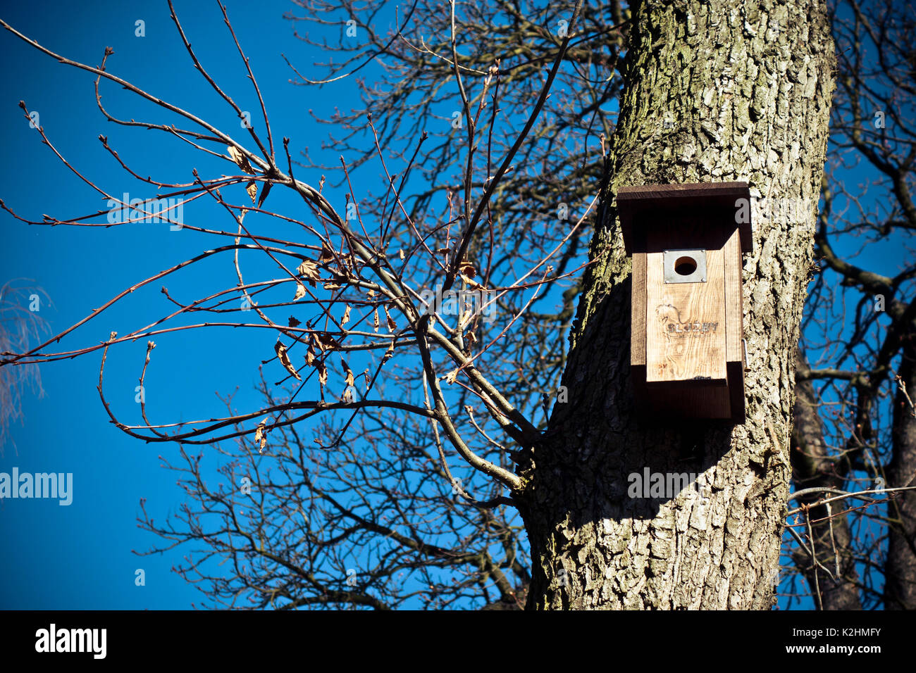 bird box or nesting box on a tree, man-made for seasonal reproduction Stock Photo