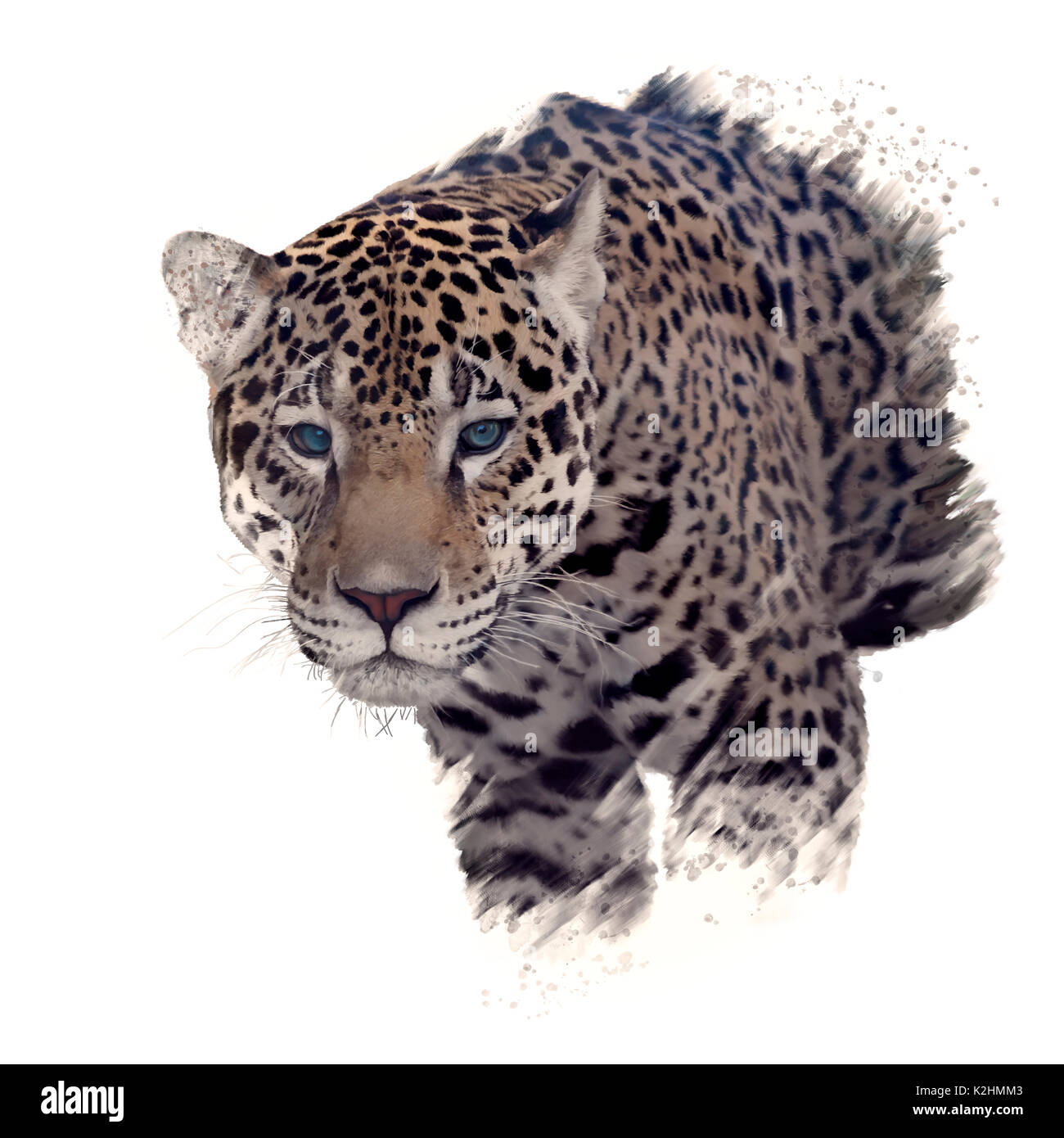 Digital Painting of leopard portrait Stock Photo - Alamy