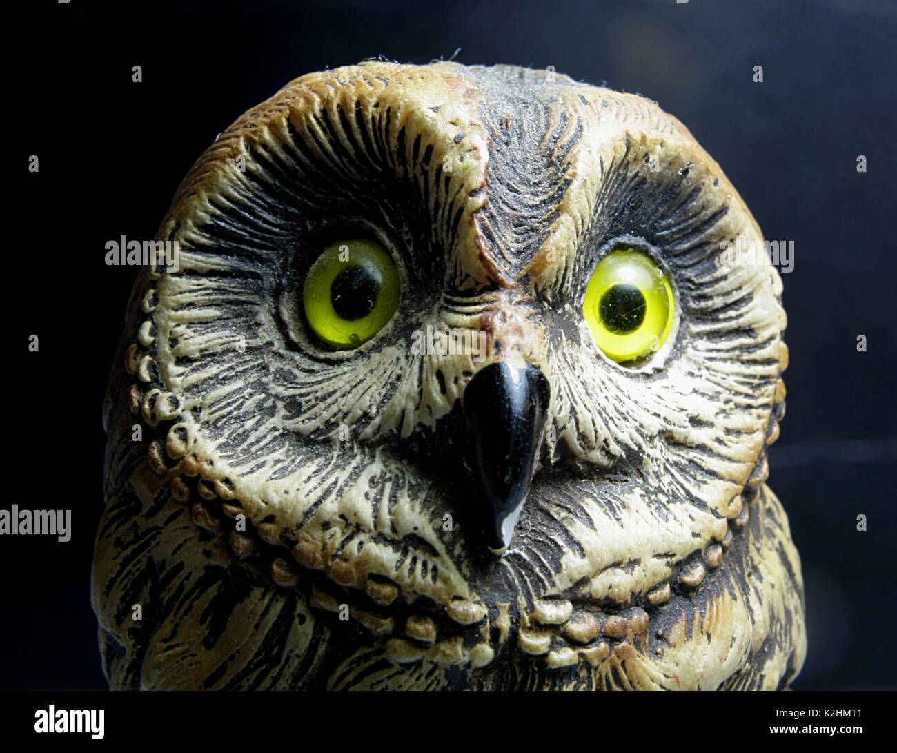 Owl eyes Stock Photo