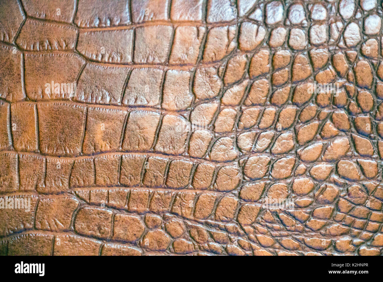 Crocodile skin texture hi-res stock photography and images - Alamy
