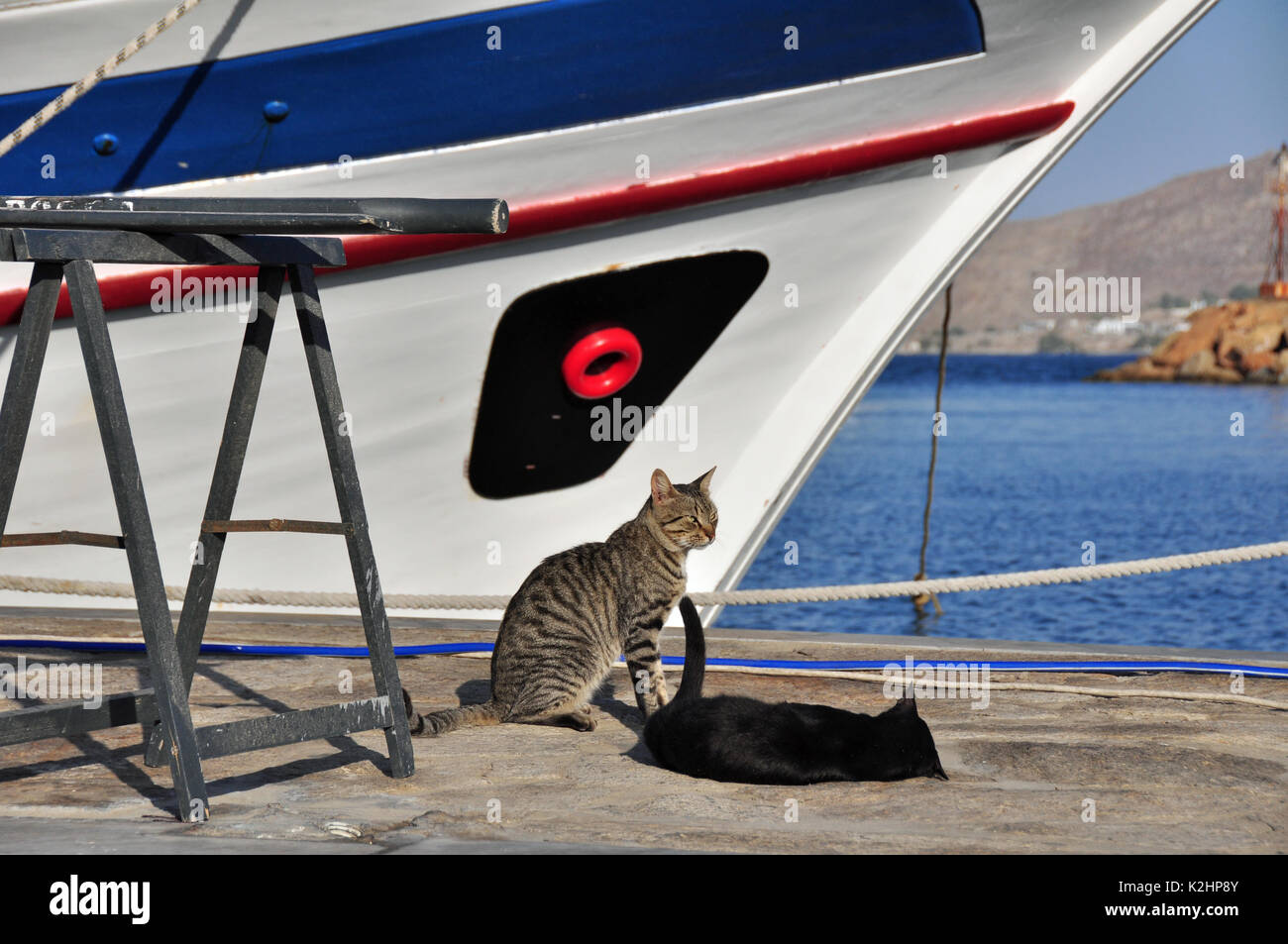Two cats, Paros, Greece. Stock Photo