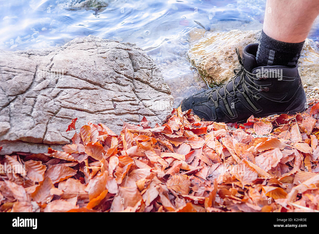 Leg of a man wearing adequate footwear for walking on trails with rocks, water, and fallen autumn leaves. A concept for hiking and traveling. Stock Photo