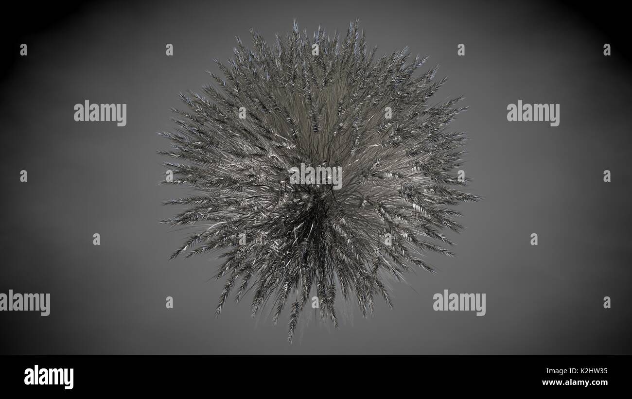 3d rendering of an abstract reflective tree on a dark black background ...