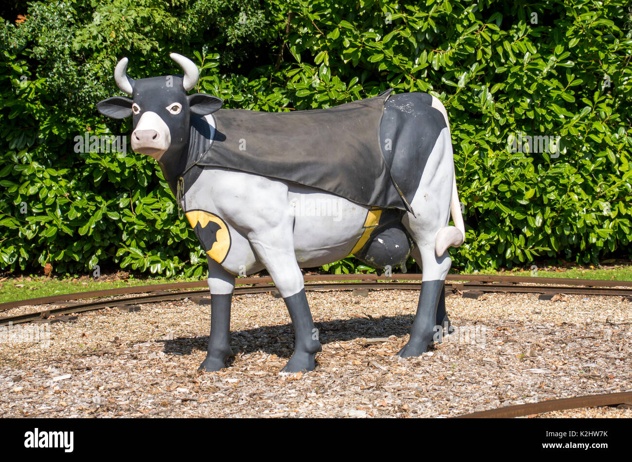 Cow in batman suit in robin hill country park, hampshire, isle of wight, england Stock Photo