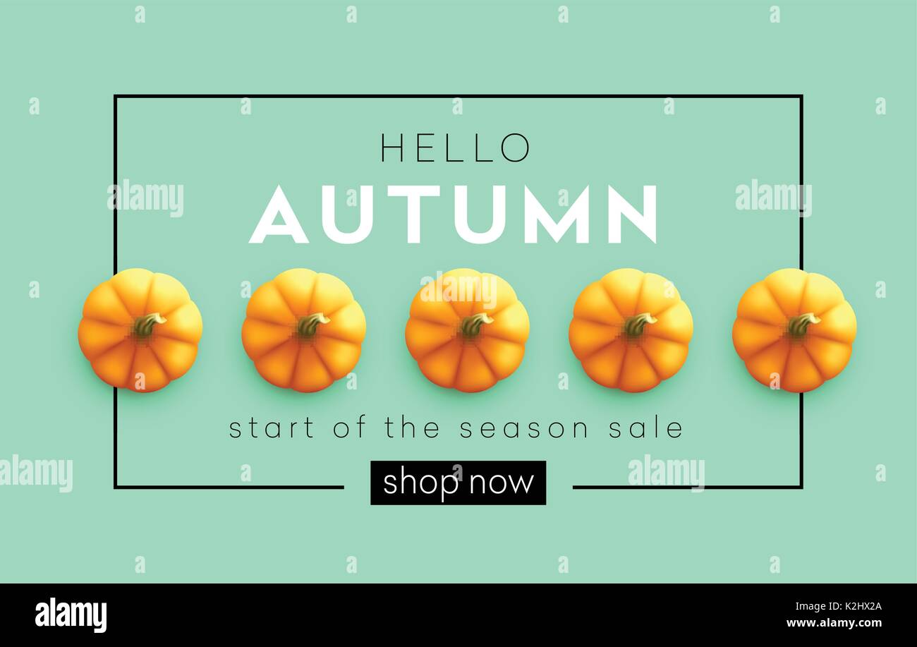 Fashionable modern autumn background with bright autumn pumpkin for design of posters, flyers, banners.  Vector illustration Stock Vector