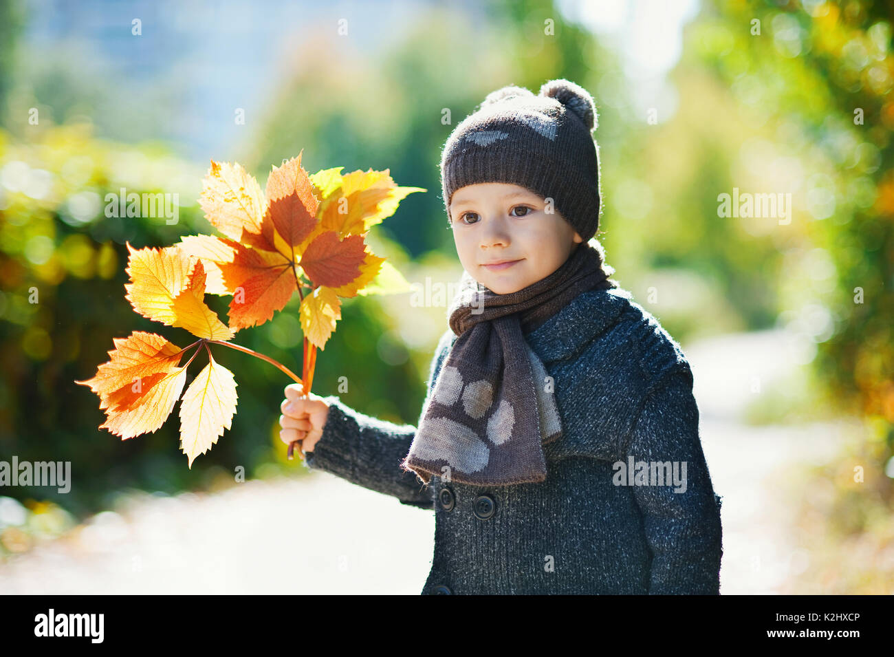 Little boy playing with autumn leaves Stock Photo - Alamy