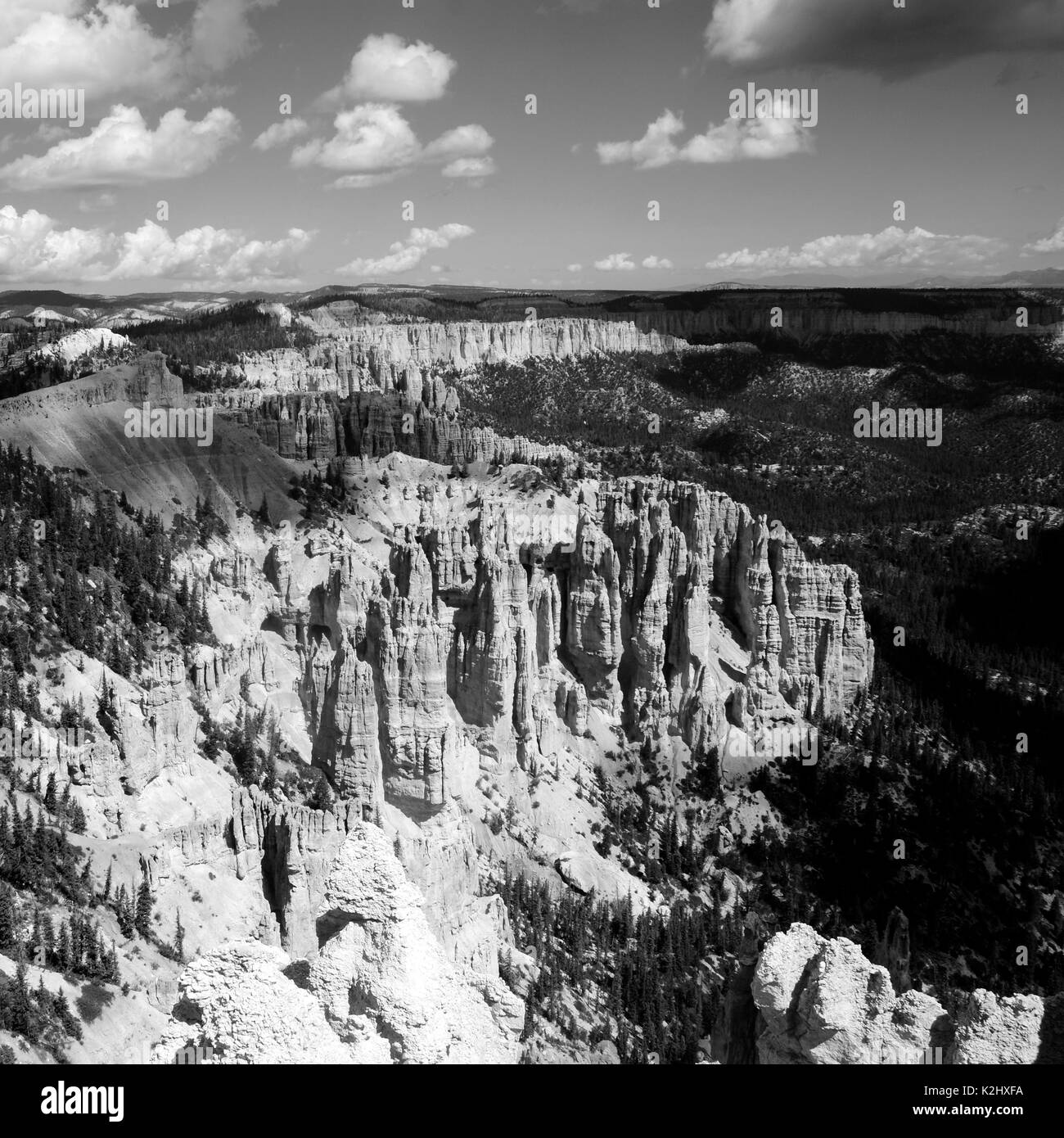Bryce canyon landscape, scenic view of amphiteater, black and white, Utah, USA Stock Photo
