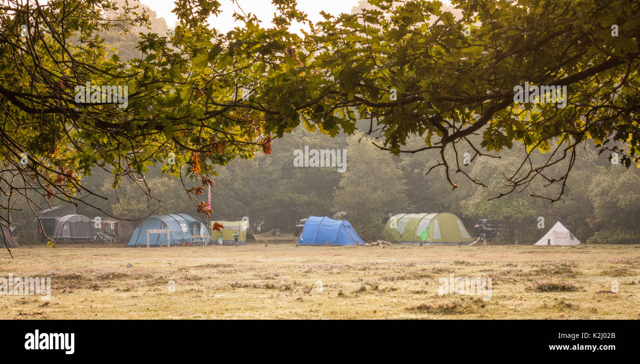 New forest camping Stock Photo