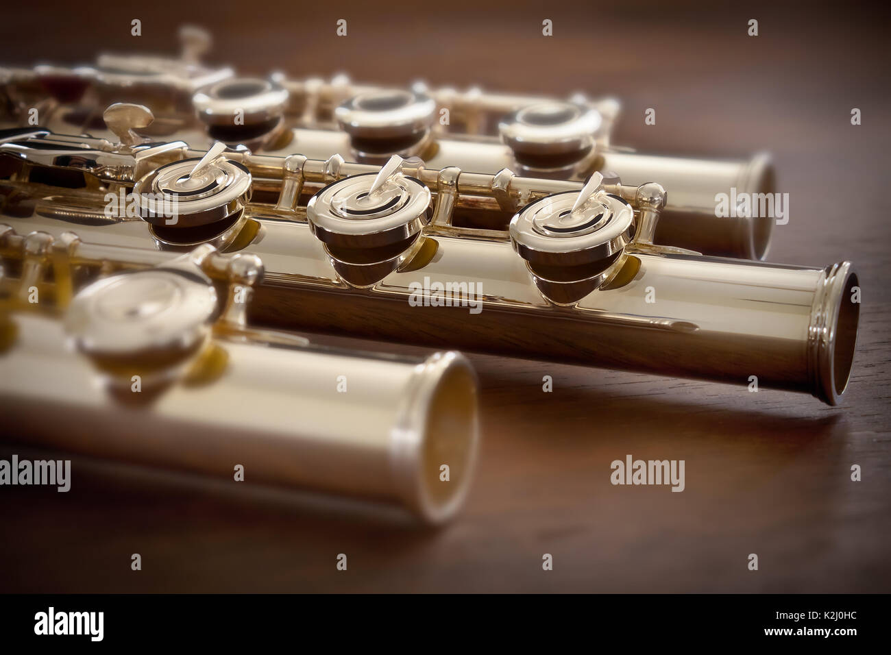 Professional French model Open Holes with Pointed Arm Concert Flute