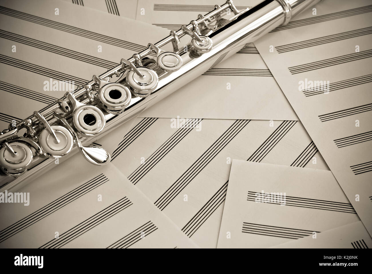 Professional French model Open Holes with Pointed Arm Concert Flute