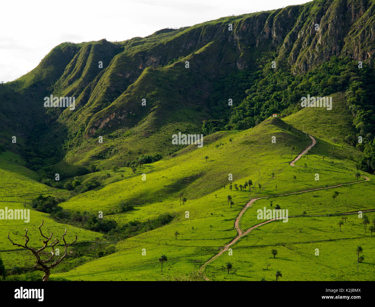 Green hills at Babilônia Valley, Serra da Canastra, Minas Gerais