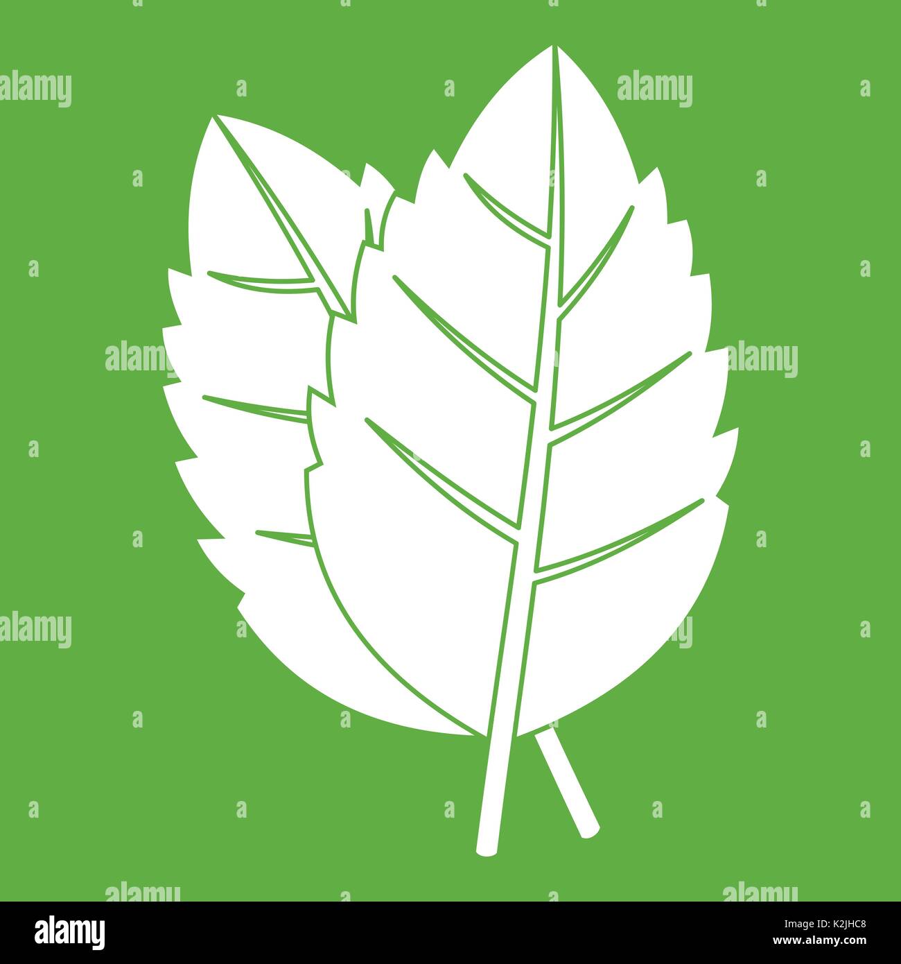 Two basil leaves icon green Stock Vector Image & Art - Alamy