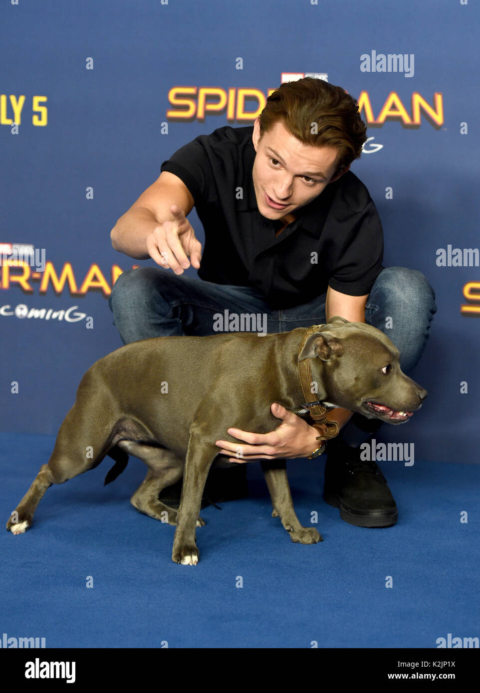 Photo Must Be Credited Alpha Press 079965 15 06 2017 Tom Holland And 