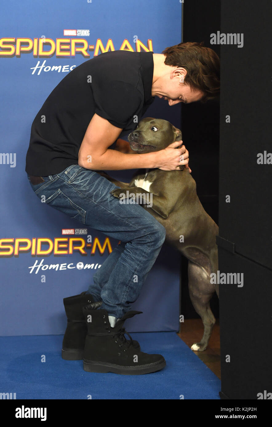 Photo Must Be Credited Alpha Press 079965 15 06 2017 Tom Holland And 