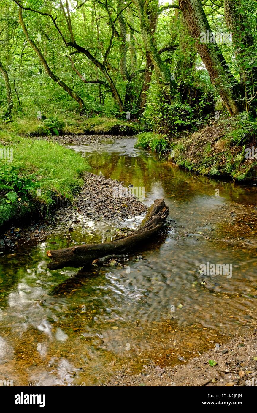 Barlaston Downs, Staffordshire Stock Photo Alamy