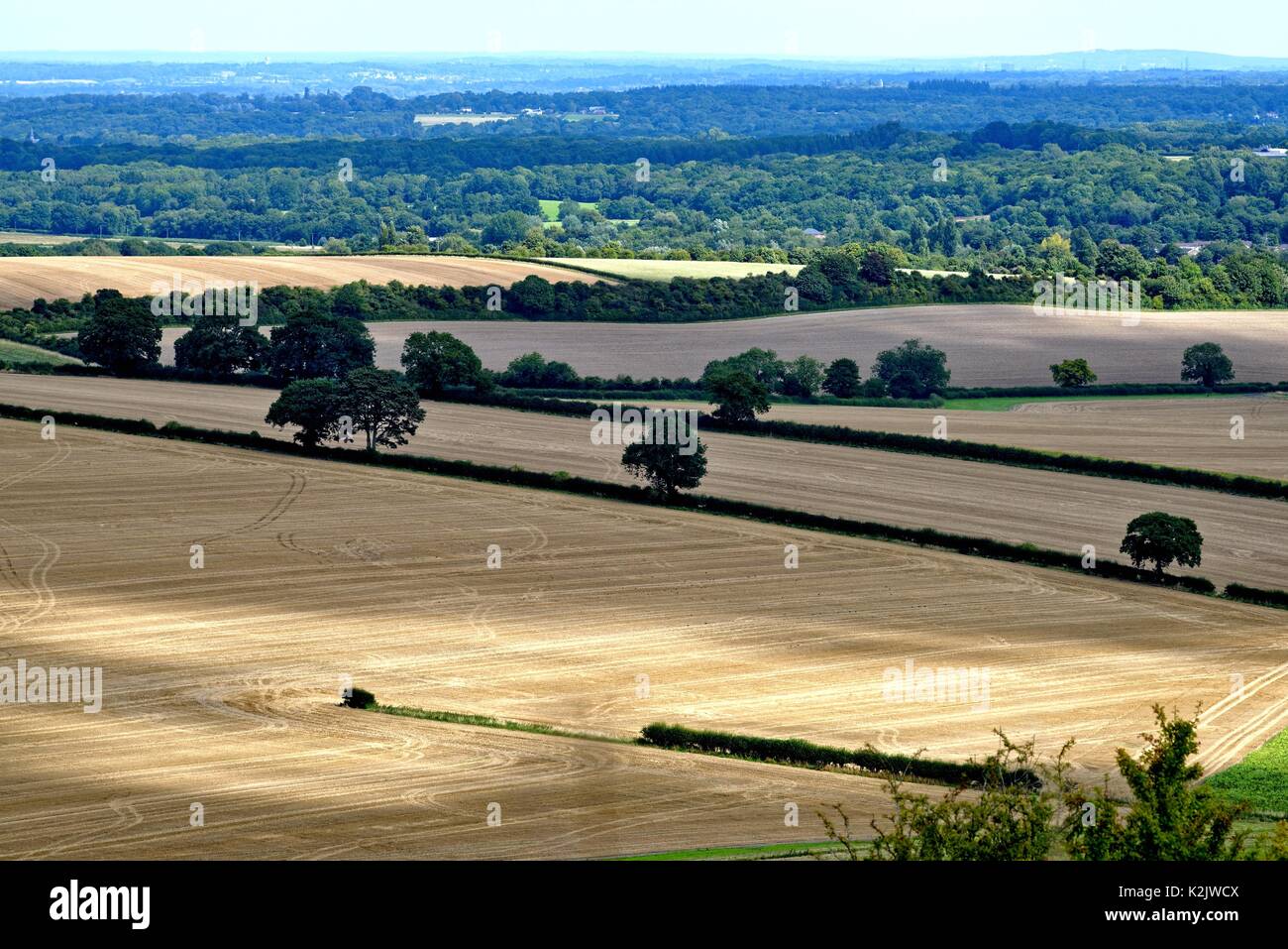 Farming land Kingsclere Hampshire UK Stock Photo