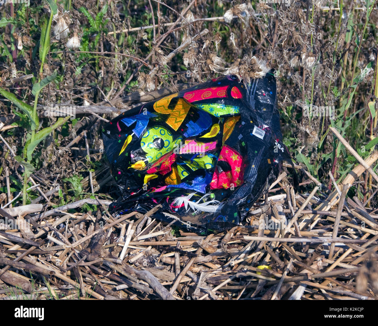Balloon garbage hires stock photography and images Alamy