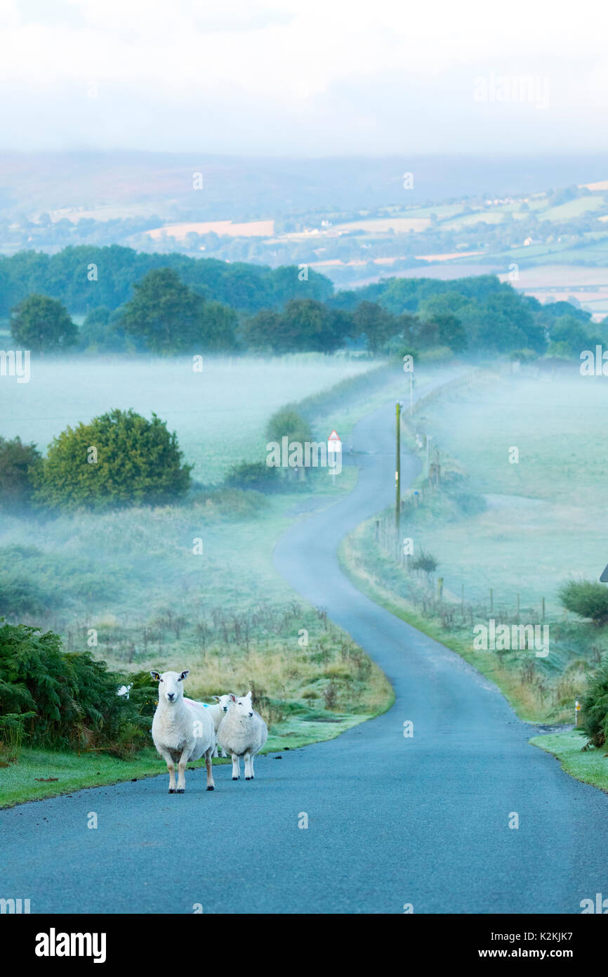 Flintshire, Wales UK Weather. With the meteorological stat to Autumn