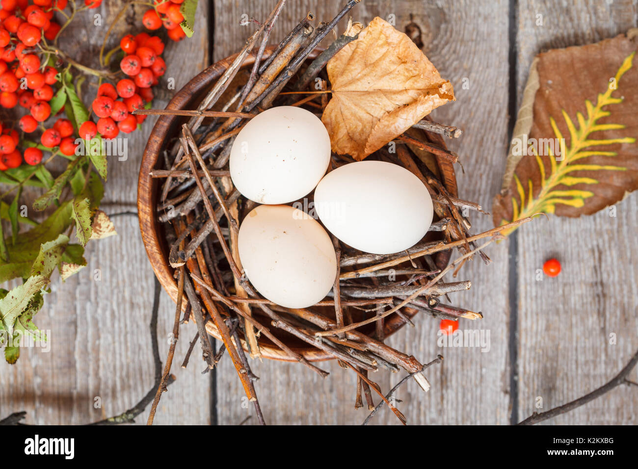 Chicken eggs in the nest, autumn composition for the postcard Stock Photo