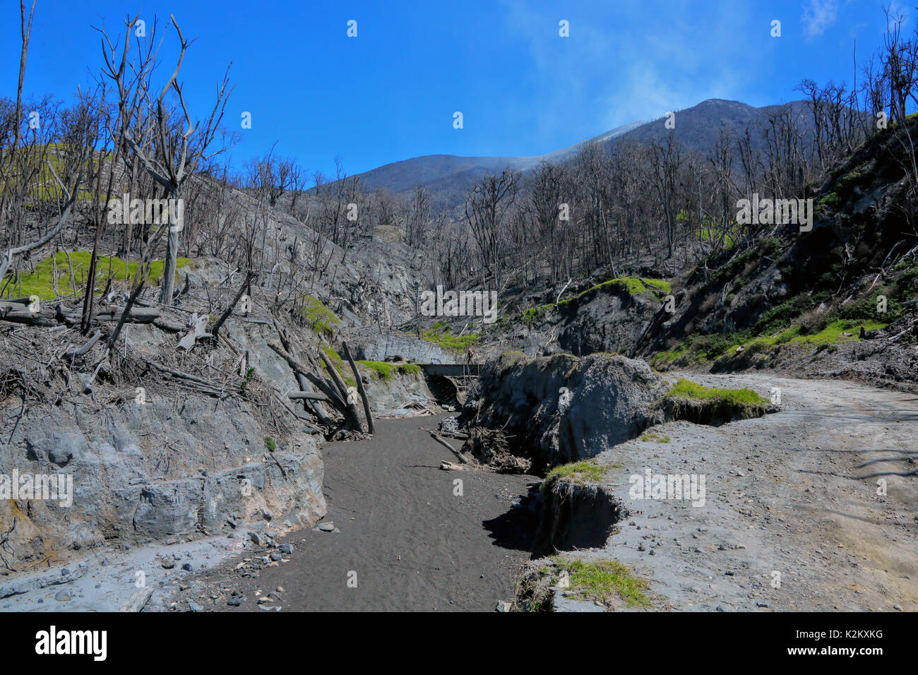 Rincon del a Vieja volcanic mud Stock Photo