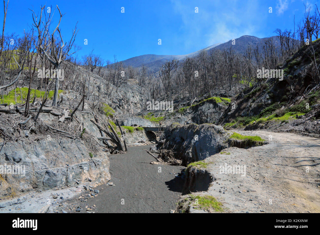 Rincon del a Vieja volcanic mud Stock Photo