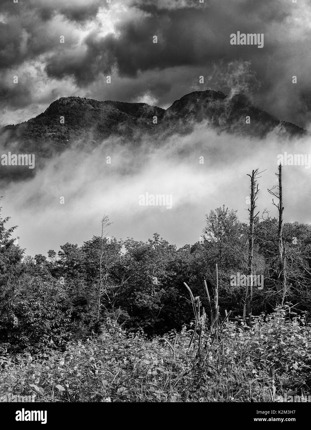 Grandfather Mountain In Fog Linville, North Carolina - Moody Grandfather Mountain Pokes Through The Fog, Blue Ridge Parkway Stormy Clouds Stock Photo