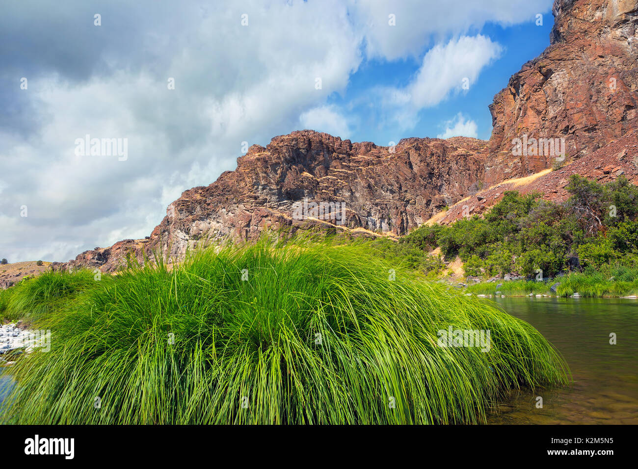 Grass along John Day River in Central Oregon on a cloudy summer day Stock Photo