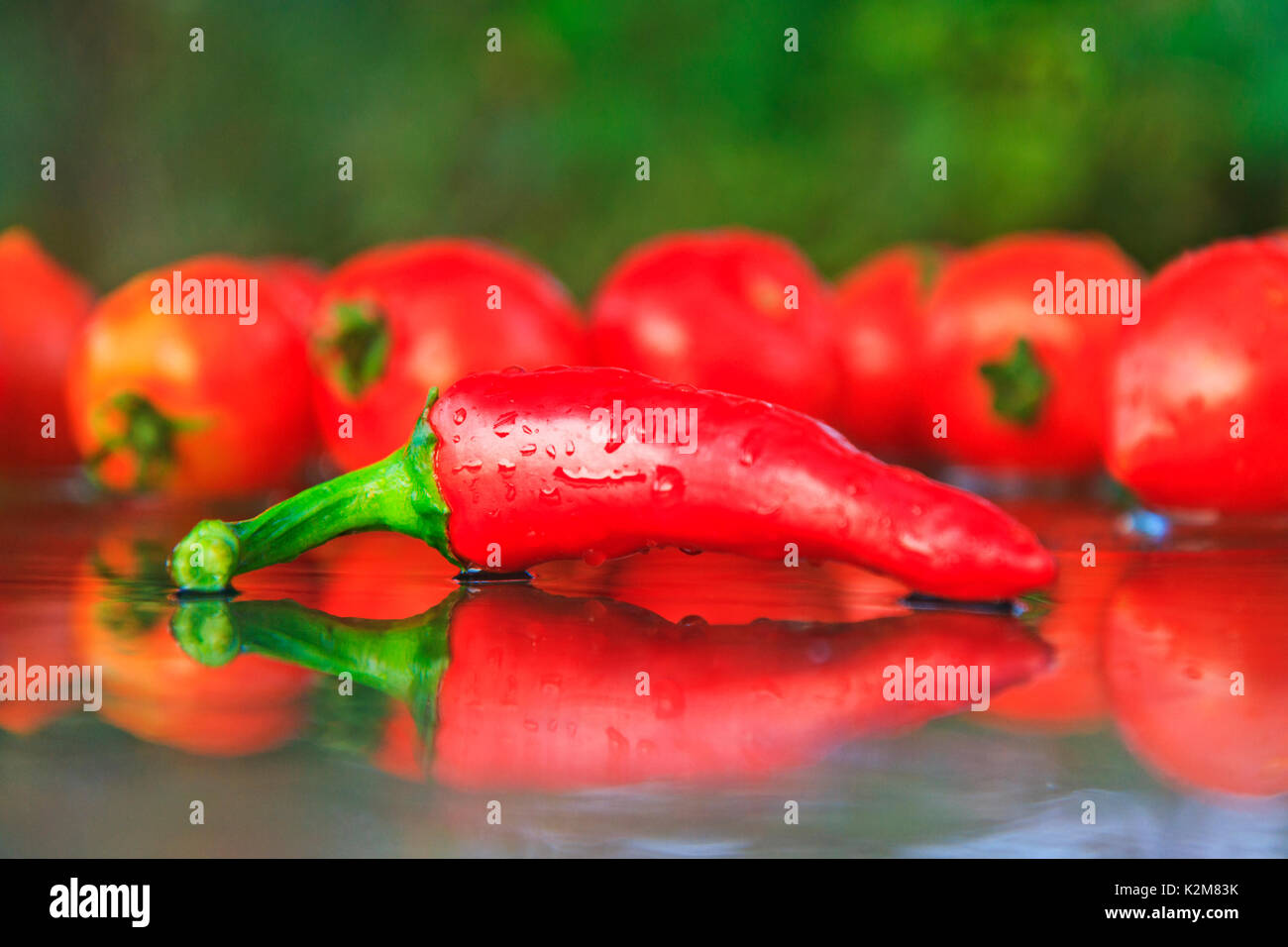 Chilli pepper on the background of red tomatoes Stock Photo
