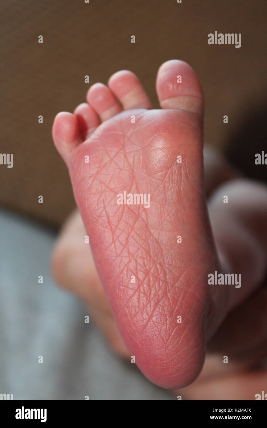newborn baby's foot Stock Photo Alamy