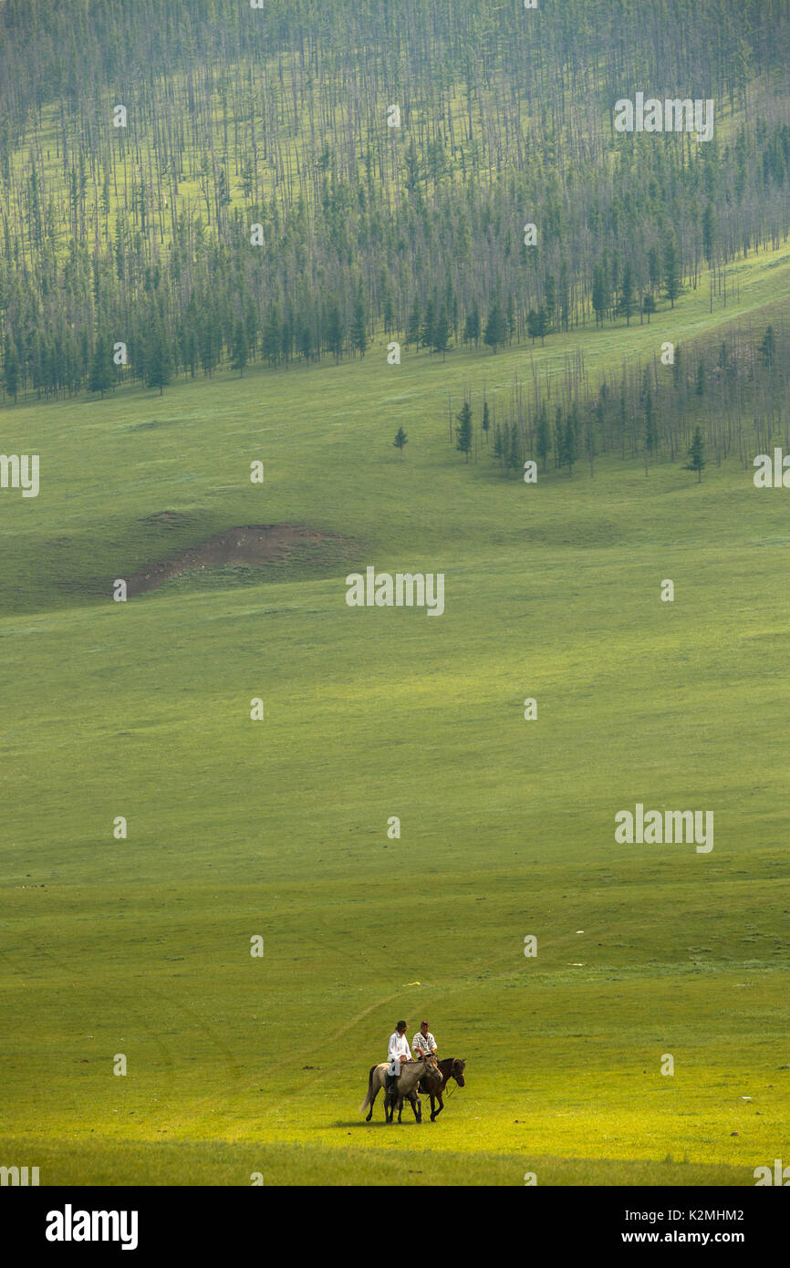 Horse riders in Mongolian steppe Stock Photo - Alamy