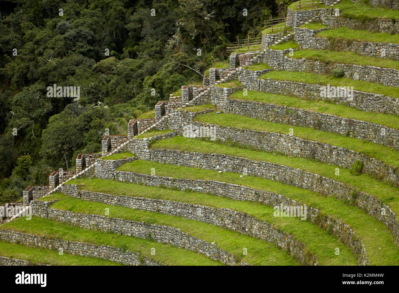 Agricultural terraces at the Inca city of Winay Wayna, on the Inca Trail to Machu Picchu, Peru, South America Stock Photo