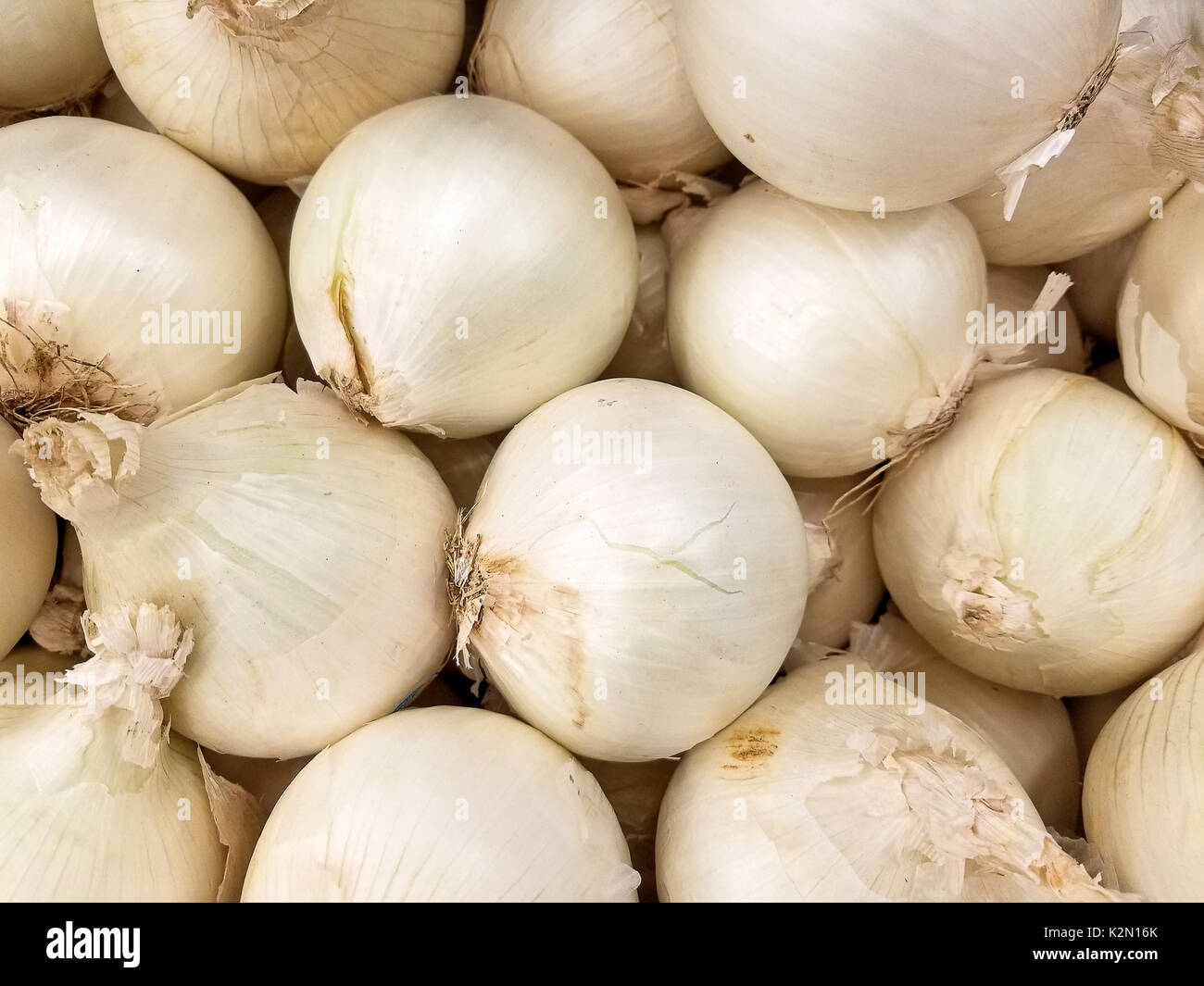 Raw white onions hires stock photography and images Alamy