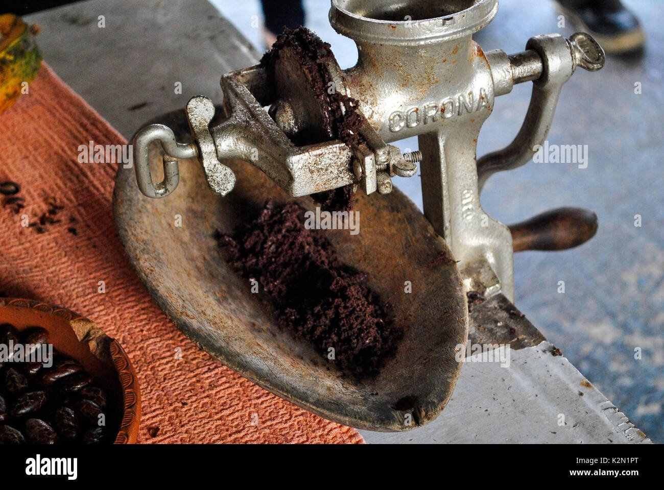 Grinding cocoa beans (Theobroma cacao). Guayas. Ecuador Stock Photo Alamy