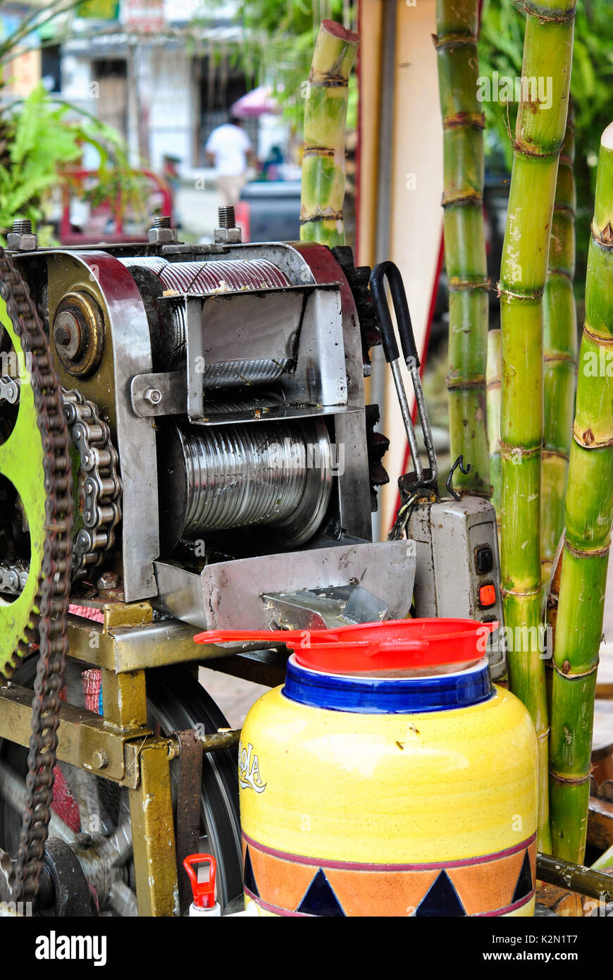 Extraction of the sweet juice of sugarcane (Saccharum officinarum).  Guayas.  Ecuador. Stock Photo