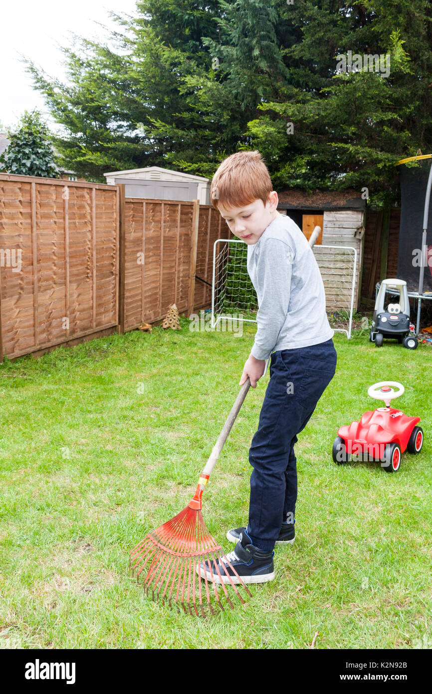 A young boy raking a lawn after being mowed Stock Photo