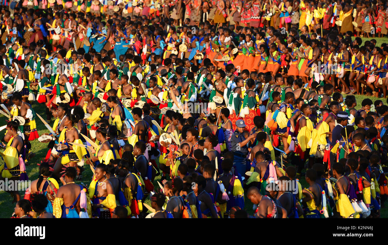 Reed dance south africa hi-res stock photography and images - Alamy
