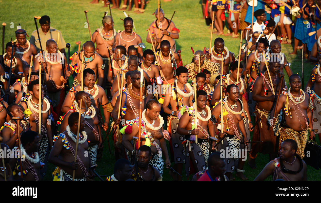Reed dance south africa hi-res stock photography and images - Alamy