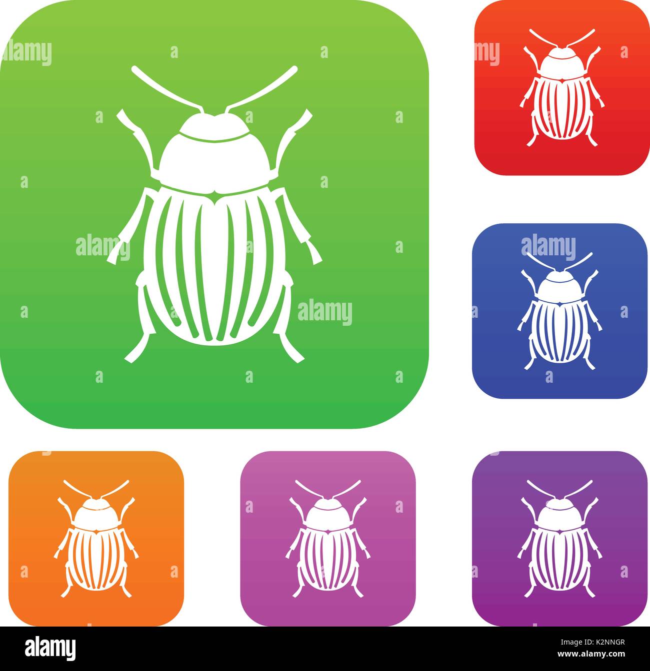 Colorado potato beetle set collection Stock Vector