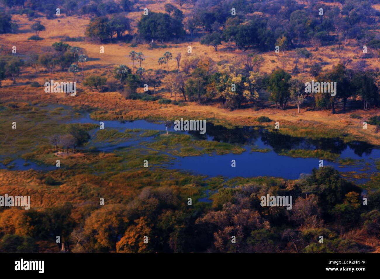 Aerial view of the wetland in the Okavango Delta, Botswana Stock Photo