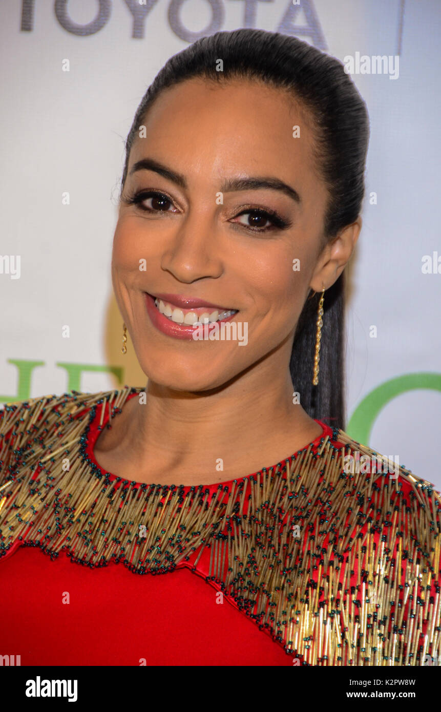Andrea Rye New York, NY, USA. 9th Nov, 2017. Angela Rye attends The Root 100 Gala ...