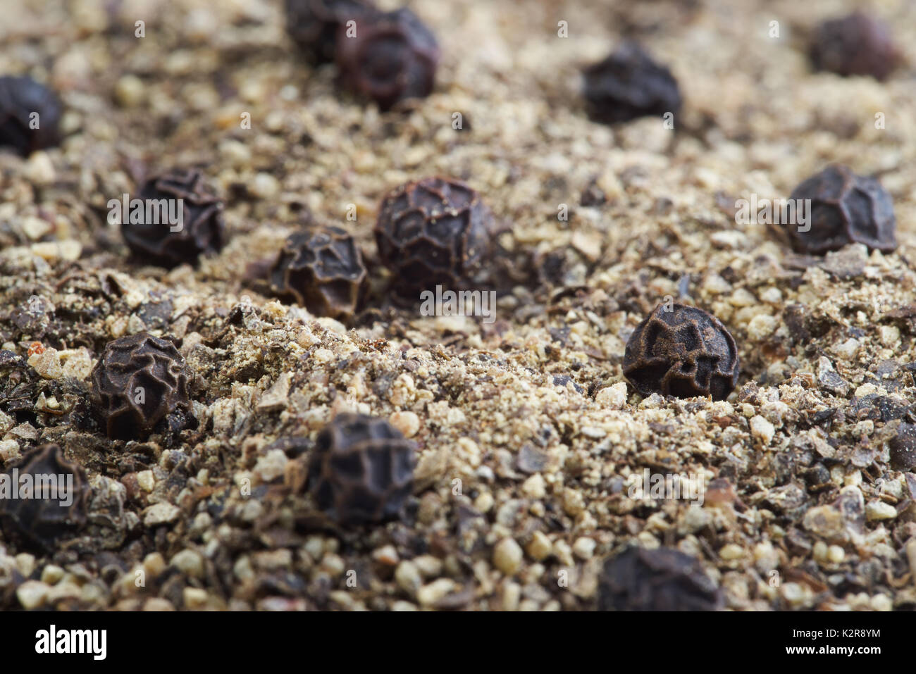 Close up black peppercorns and ground pepper Stock Photo