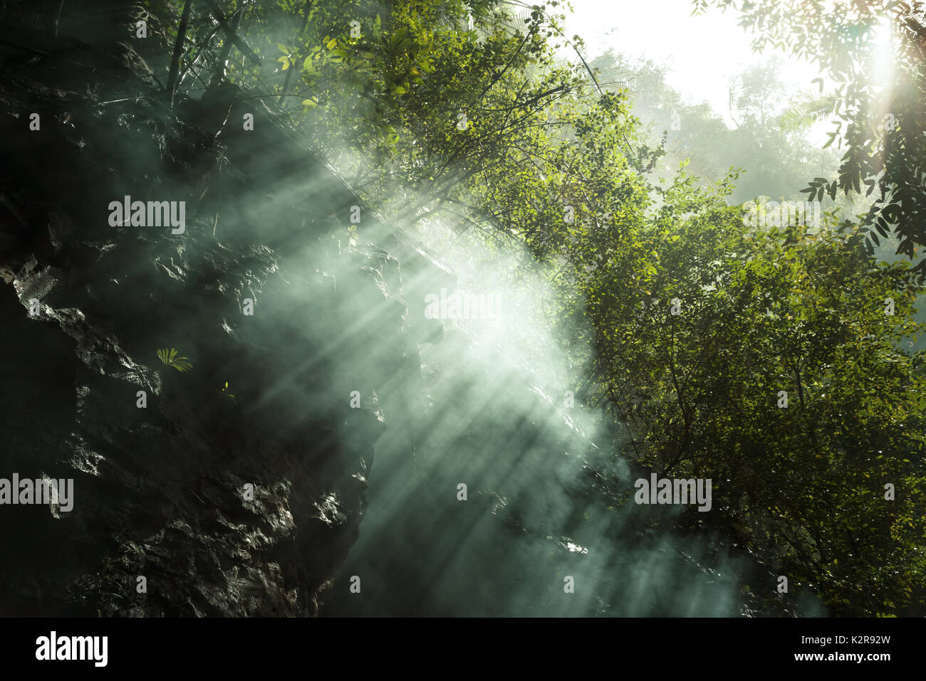 Ray of light shining through mist and foliage Stock Photo